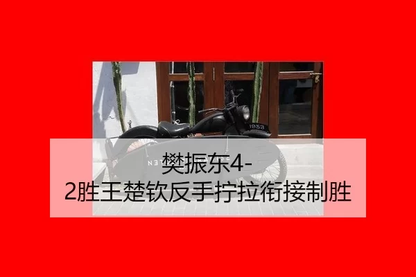 樊振东4-2胜王楚钦反手拧拉衔接制胜
